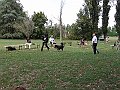 img 144